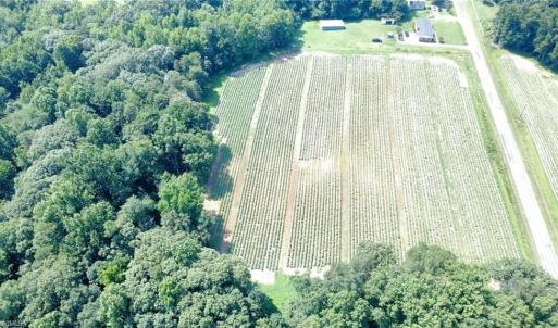 Photo #2 of Penman, Archdale, NC 17.1 acres