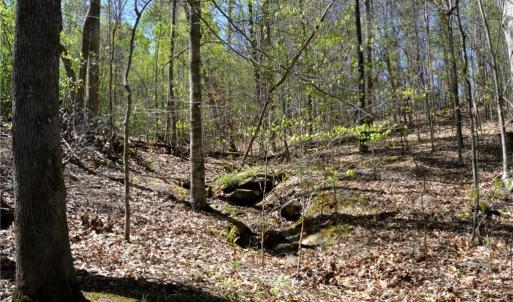 Photo #15 of 01 Dibrell, Pelham, NC 80.0 acres