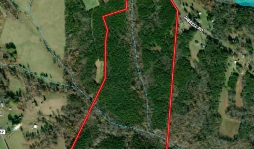 Photo #40 of 01 Dibrell, Pelham, NC 80.0 acres