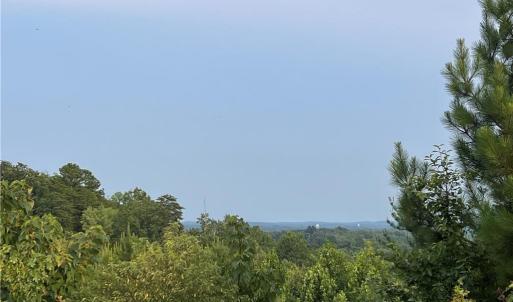 Photo #2 of Cedar Forest, Franklinville, NC 16.2 acres