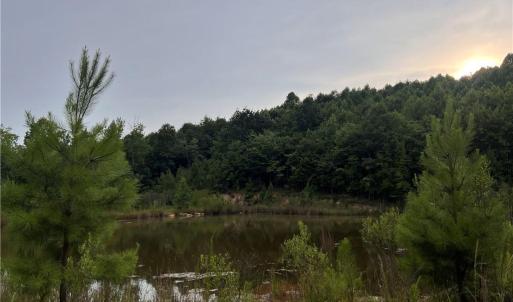Photo #1 of Cedar Forest, Franklinville, NC 16.2 acres