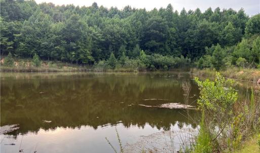 Photo #5 of Cedar Forest, Franklinville, NC 16.2 acres