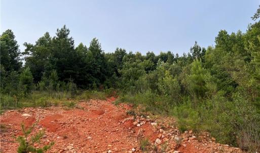Photo #4 of Cedar Forest, Franklinville, NC 16.2 acres