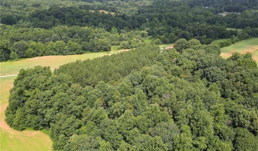 Photo #3 of Ralph Craver, Lexington, NC 20.2 acres