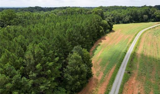 Photo #5 of Ralph Craver, Lexington, NC 20.2 acres