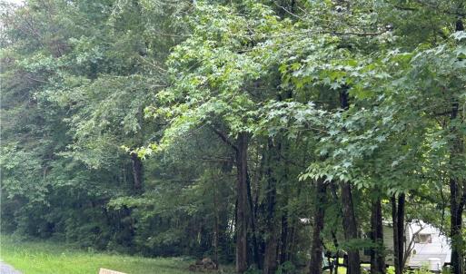 Photo #3 of 5501 Eulis, Liberty, NC 10.9 acres