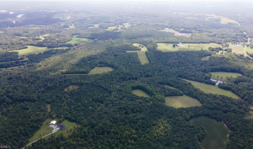 Photo #23 of Rascoe, Burlington, NC 161.9 acres