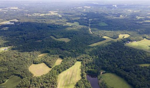 Photo #17 of Rascoe, Burlington, NC 161.9 acres