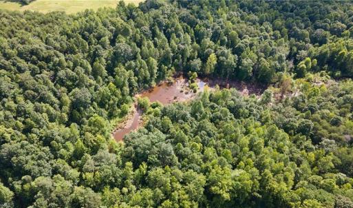 Photo #28 of Rascoe, Burlington, NC 161.9 acres