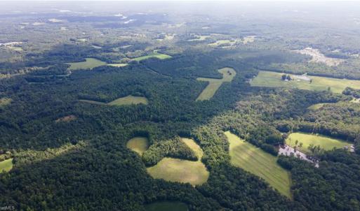 Photo #20 of Rascoe, Burlington, NC 161.9 acres