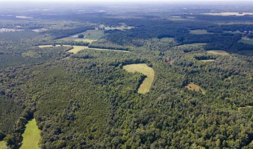 Photo #14 of Rascoe, Burlington, NC 161.9 acres