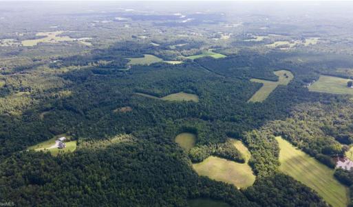 Photo #21 of Rascoe, Burlington, NC 161.9 acres