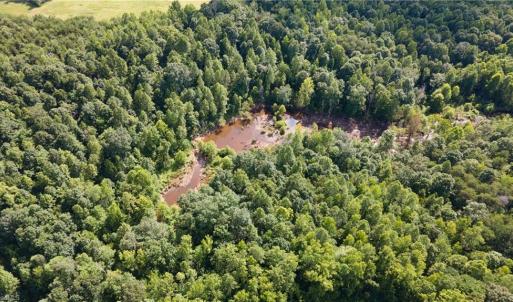 Photo #28 of Rascoe, Burlington, NC 161.9 acres