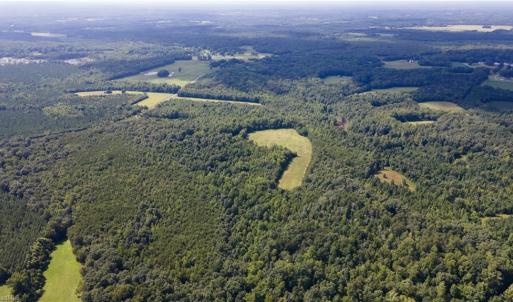 Photo #14 of Rascoe, Burlington, NC 161.9 acres