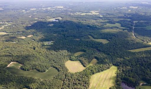 Photo #19 of Rascoe, Burlington, NC 161.9 acres