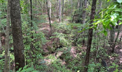 Photo #26 of Rock Quarry, Pelham, NC 29.0 acres