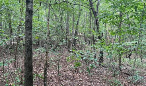 Photo #22 of Rock Quarry, Pelham, NC 29.0 acres