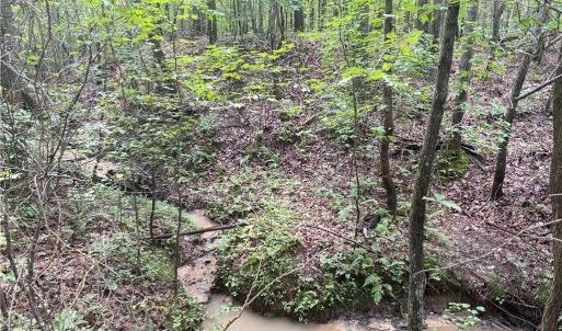 Photo #32 of Rock Quarry, Pelham, NC 29.0 acres