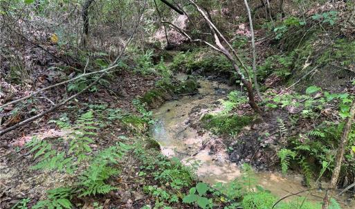 Photo #28 of Rock Quarry, Pelham, NC 29.0 acres