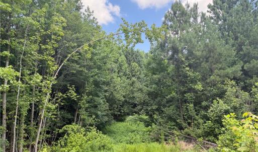 Photo #20 of Rock Quarry, Pelham, NC 29.0 acres