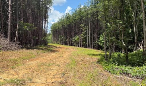 Photo #24 of Rock Quarry, Pelham, NC 29.0 acres