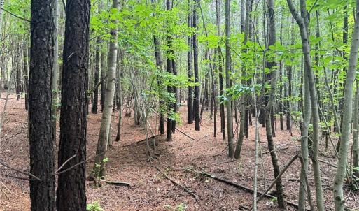 Photo #30 of Rock Quarry, Pelham, NC 29.0 acres