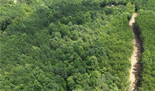 Photo #33 of Rock Quarry, Pelham, NC 29.0 acres