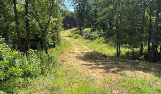 Photo #14 of Rock Quarry, Pelham, NC 29.0 acres