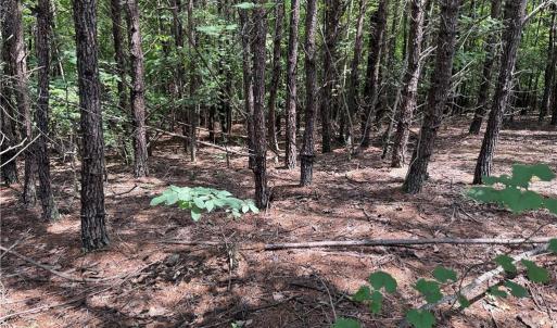 Photo #18 of Rock Quarry, Pelham, NC 29.0 acres