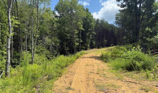 Photo #15 of Rock Quarry, Pelham, NC 29.0 acres