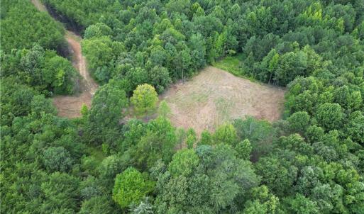 Photo #11 of Rock Quarry, Pelham, NC 29.0 acres