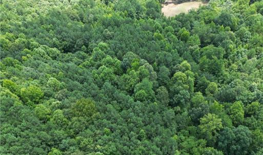 Photo #35 of Rock Quarry, Pelham, NC 29.0 acres