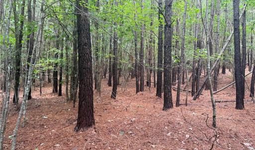 Photo #31 of Rock Quarry, Pelham, NC 29.0 acres