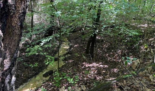 Photo #25 of Rock Quarry, Pelham, NC 29.0 acres