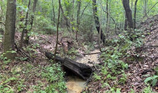 Photo #27 of 134 Rock Quarry, Pelham, NC 29.0 acres