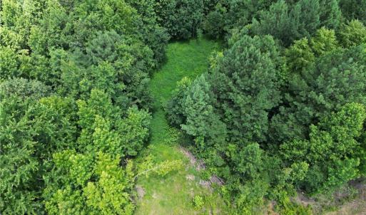 Photo #2 of 134 Rock Quarry, Pelham, NC 29.0 acres