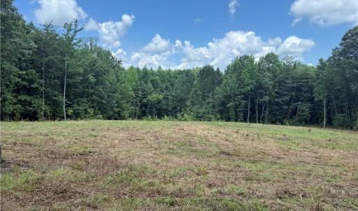 Photo #6 of 134 Rock Quarry, Pelham, NC 29.0 acres