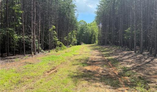 Photo #17 of 134 Rock Quarry, Pelham, NC 29.0 acres