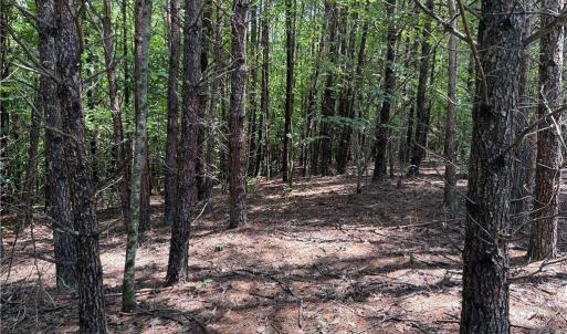 Photo #16 of 134 Rock Quarry, Pelham, NC 29.0 acres