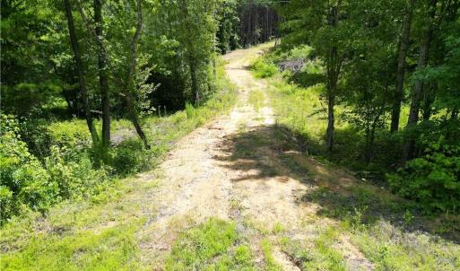 Photo #7 of 134 Rock Quarry, Pelham, NC 29.0 acres