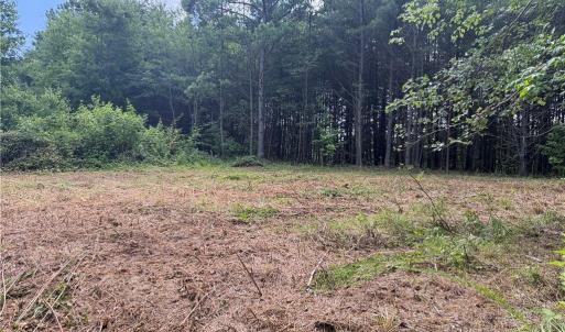 Photo #19 of 134 Rock Quarry, Pelham, NC 29.0 acres