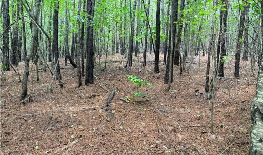 Photo #29 of 134 Rock Quarry, Pelham, NC 29.0 acres