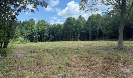 Photo #4 of 134 Rock Quarry, Pelham, NC 29.0 acres