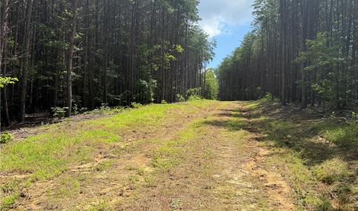 Photo #8 of 134 Rock Quarry, Pelham, NC 29.0 acres