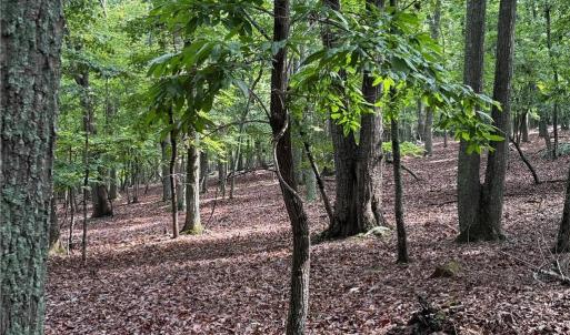 Photo #2 of 1695 Sierra Trace, Denton, NC 4.3 acres