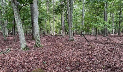 Photo #3 of 1695 Sierra Trace, Denton, NC 4.3 acres