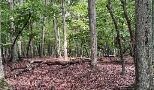 Photo #1 of 1695 Sierra Trace, Denton, NC 4.3 acres