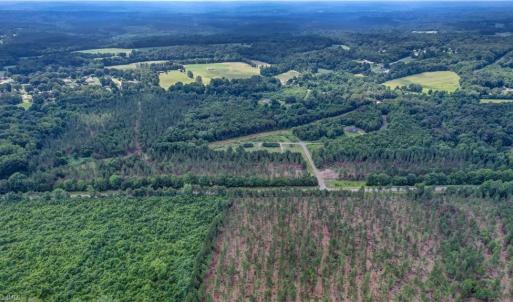 Photo #7 of NC Highway 770, Eden, NC 43.6 acres