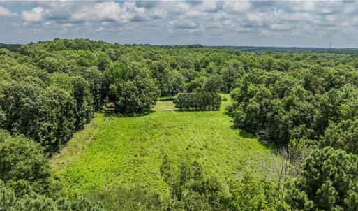 Photo #7 of 3635 Weeden, Staley, NC 37.8 acres