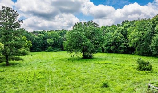 Photo #5 of 3635 Weeden, Staley, NC 37.8 acres